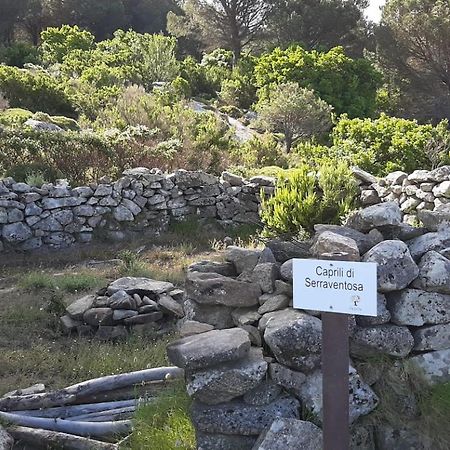 Casa Vacanze Il Pastore Tedesco Portoferraio Exterior foto